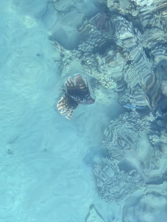 Sport & Freizeit Cleopatra Luxury Resort Makadi Bay