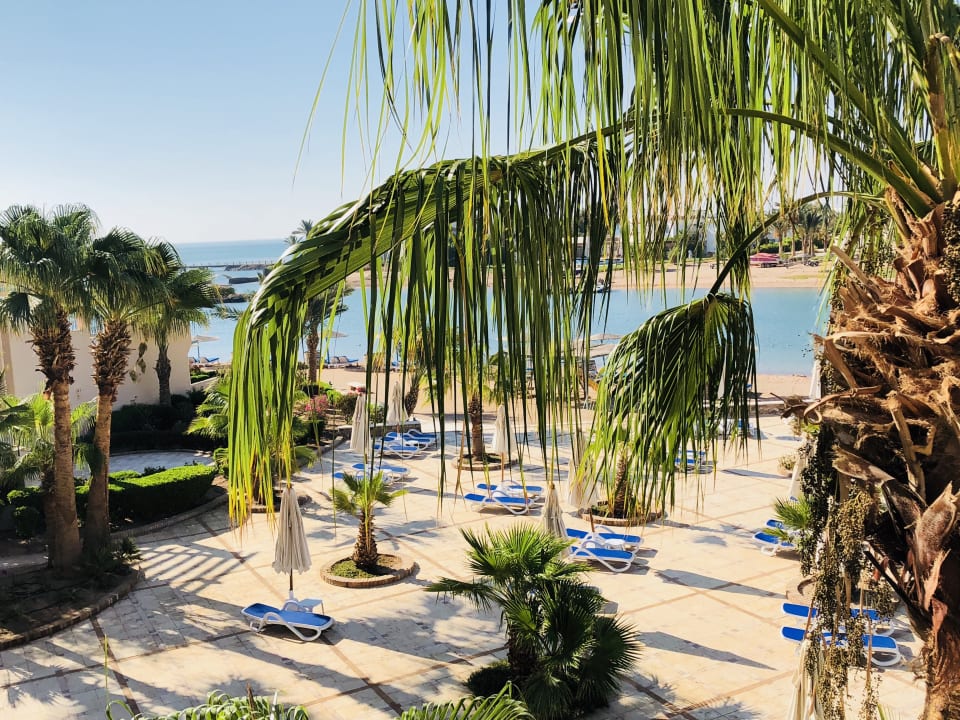 Ausblick Mövenpick Resort & Spa El Gouna