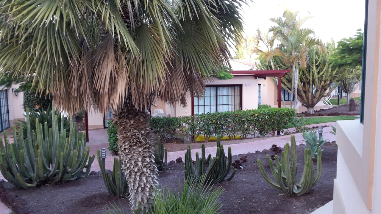 Gartenanlage allsun Hotel Esplendido