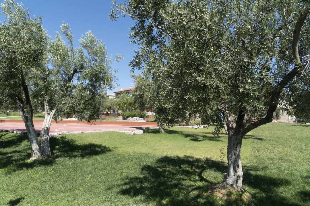 Gartenanlage Blue Dolphin Resort Hotel