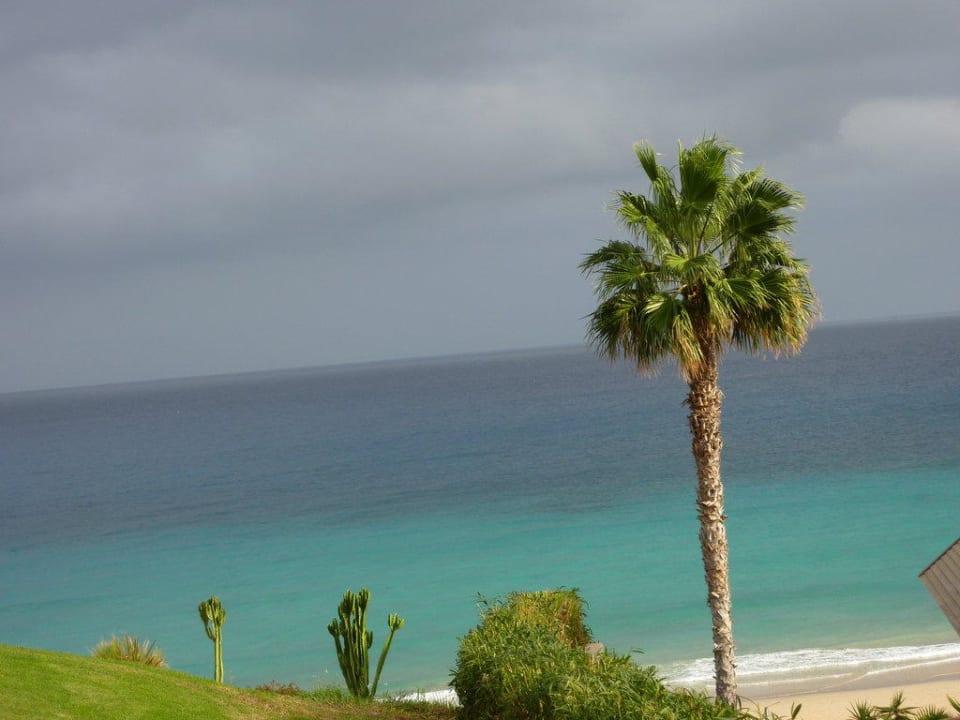Von der Zimmerterrasse Fuerteventura Princess