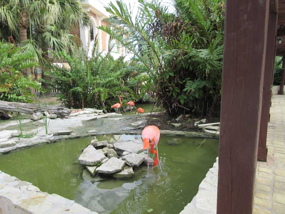 Flamingos Villas Bavaro Resort & Spa