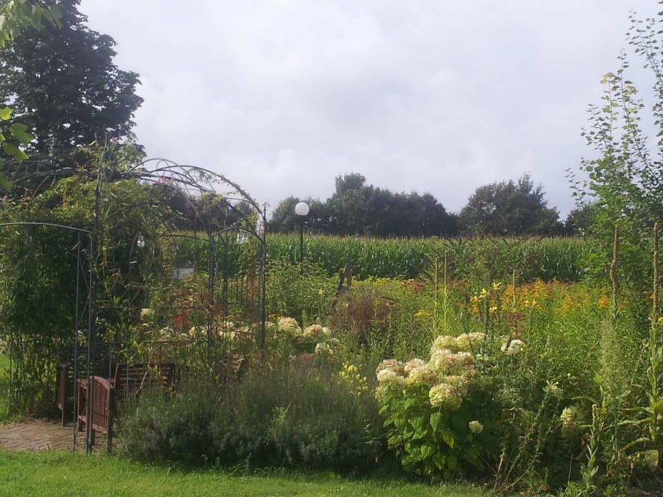 Garten und Umgebung B&B Nieuw Beusink