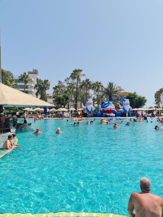 Pool Arum Barut Collection