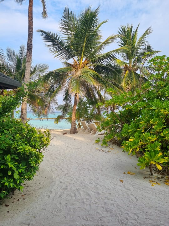 Gartenanlage Summer Island Maldives