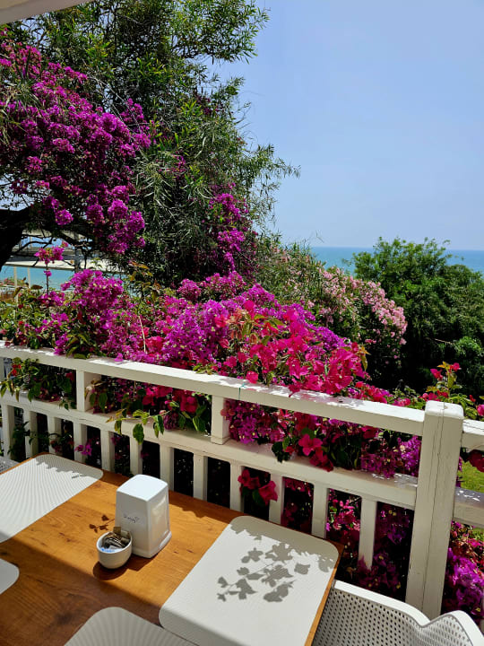 Gastro Can Garden Resort
