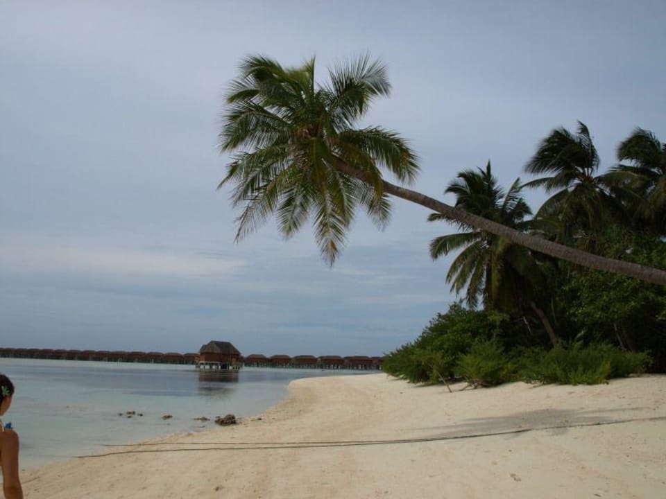 Strand 400er Meeru Maldives Resort Island