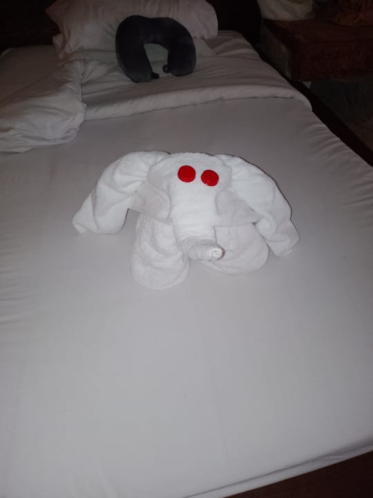 Zimmer Hotel Caves Beach Resort (Adults Only)