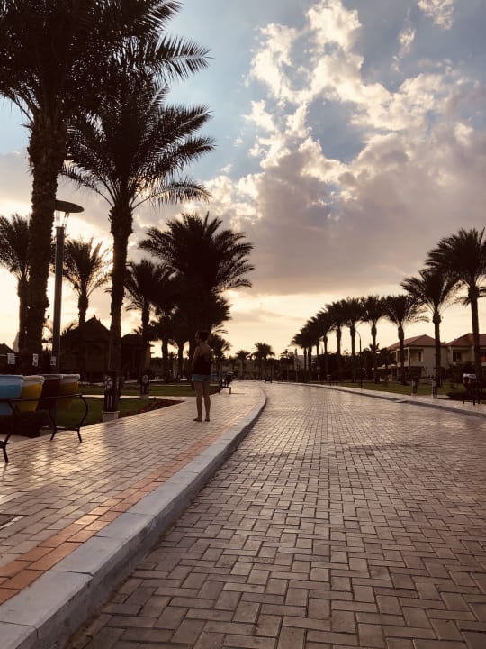 Gartenanlage Pickalbatros Aqua Blu Resort - Sharm El Sheikh