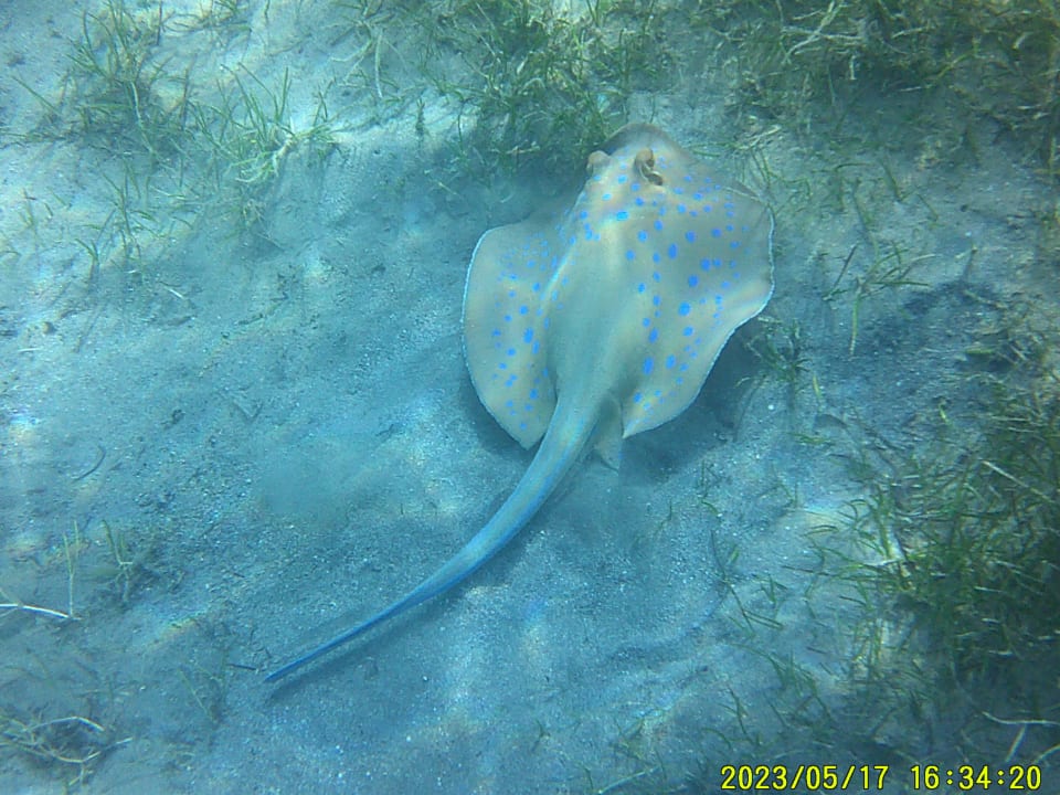 Sport & Freizeit Shams Prestige Abu Soma-Adults Only