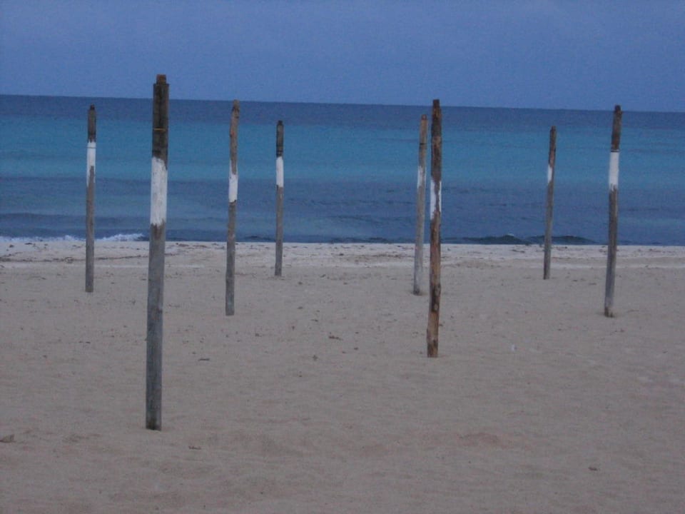 Strand von Sa Coma CM Mallorca Palace - Adults Only