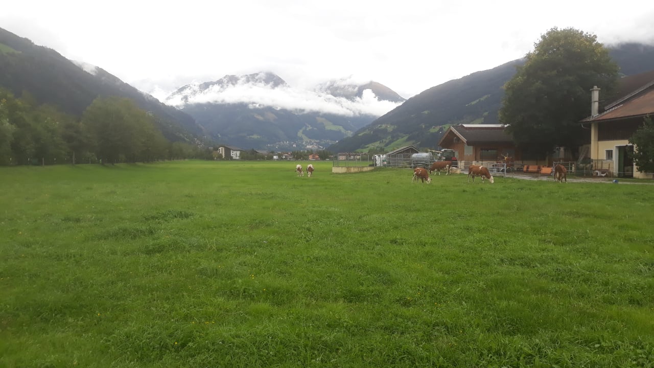 Ausblick HAUS KATHARINA