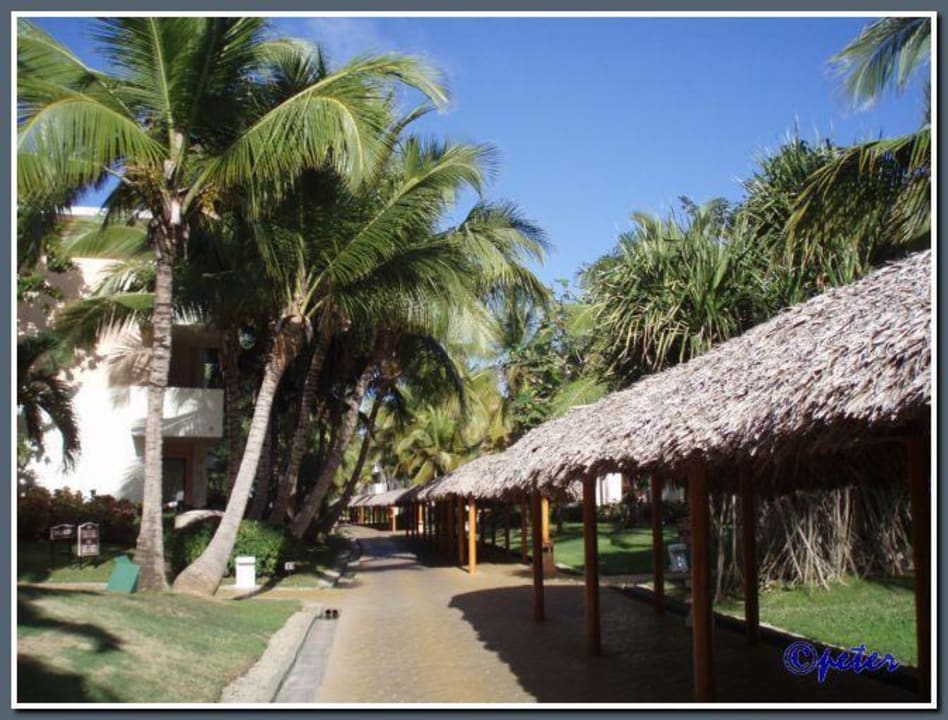 Anlage Catalonia Punta Cana - All Inclusive
