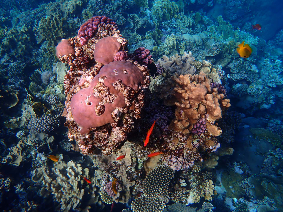 Sonstiges Rohanou Beach Resort