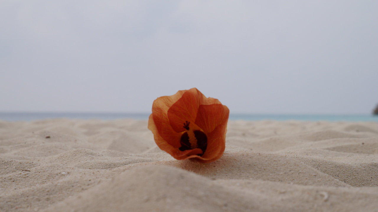 Impressionen Centara Ras Fushi Resort & Spa Maldives