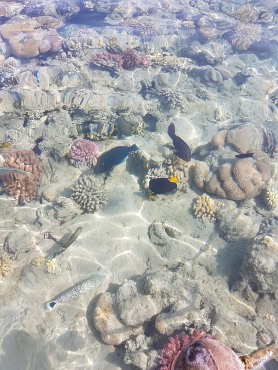 Sport & Freizeit Grand Waterworld Makadi & Family Star Makadi