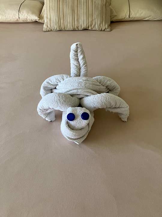 Zimmer Makadi Spa - Adults only