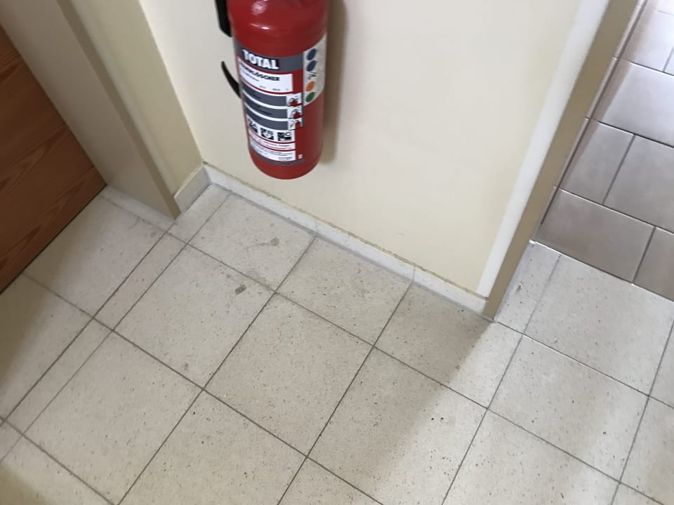 Zimmer BEECH Resort Boltenhagen