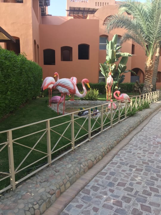 Garten Jaz Makadi Blue - TUI BLUE Makadi - Adults Friendly 16 Years Plus