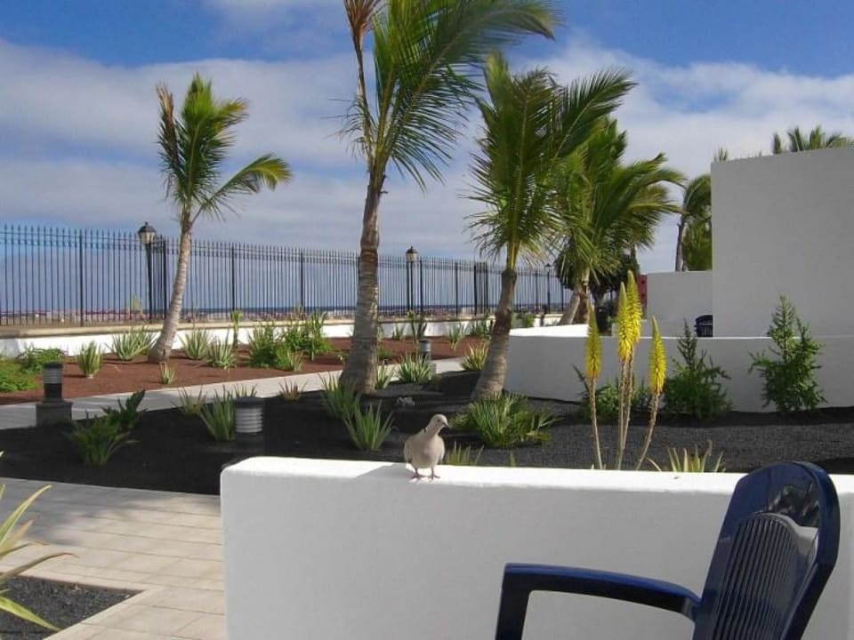 Meerblick Hotel Las Costas