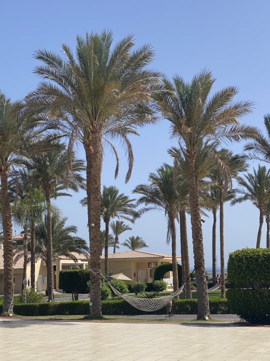 Gartenanlage Cleopatra Luxury Resort Makadi Bay