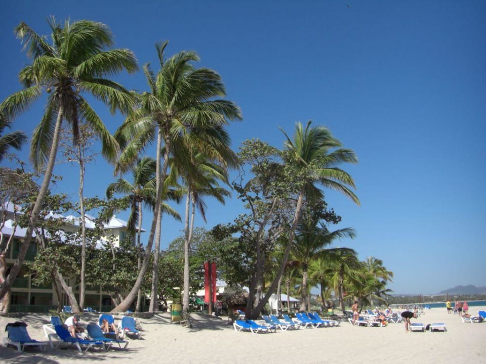 Strand mit viel Wind Grand Paradise Playa Dorada