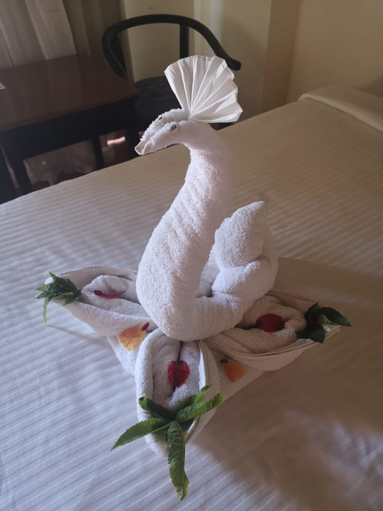 Zimmer Three Corners Sea Beach Resort