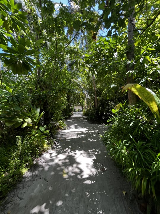 Gartenanlage Vilamendhoo Island Resort & Spa