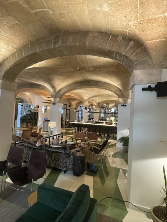 Gastro Concepcio by Nobis