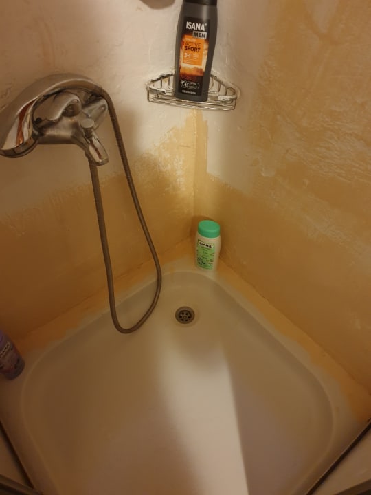 Zimmer Clover Magic Nova Beach