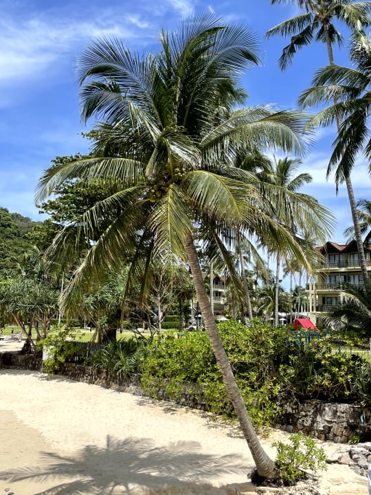 Gartenanlage Phuket Marriott Resort & Spa Merlin Beach