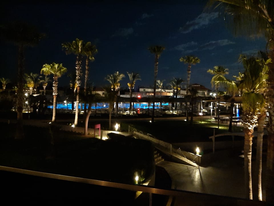 Ausblick TUI BLUE Palm Garden