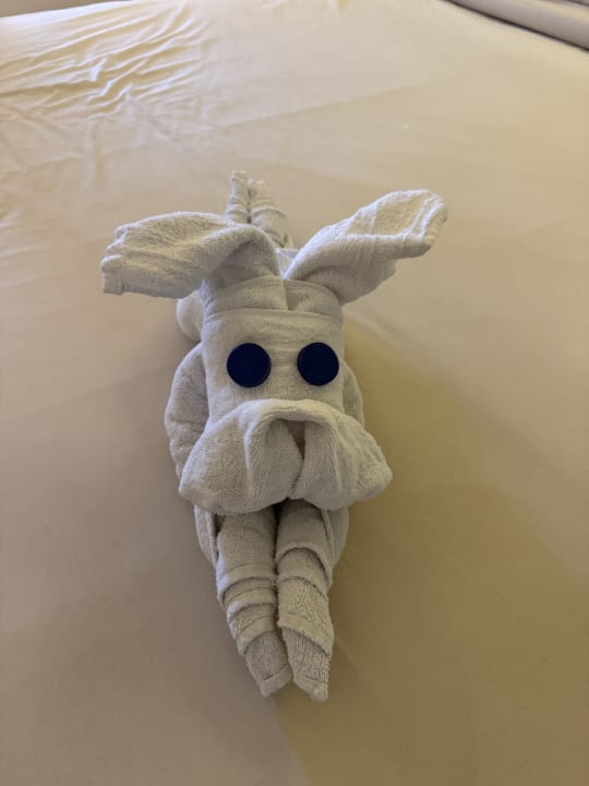 Zimmer Makadi Spa - Adults only