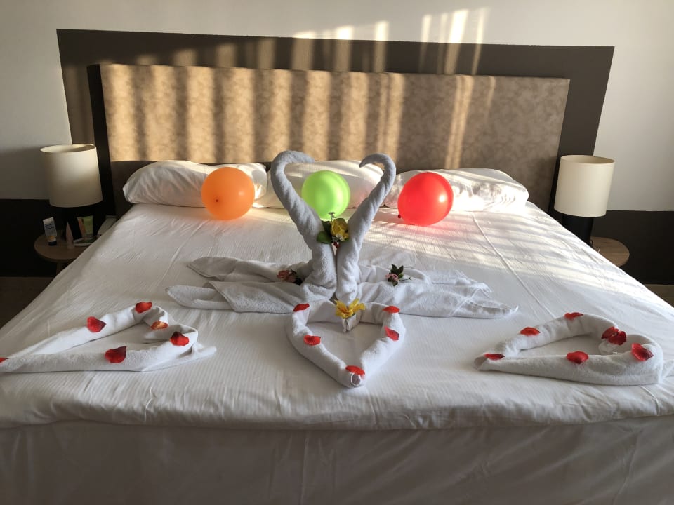 Zimmer PALOMA Perissia