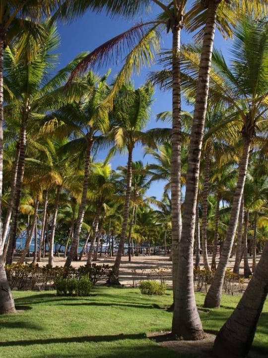 Garten Senator Puerto Plata Hotel