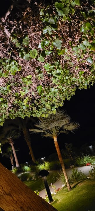 Gartenanlage Hotel Three Corners Ocean View prestige - Adults only