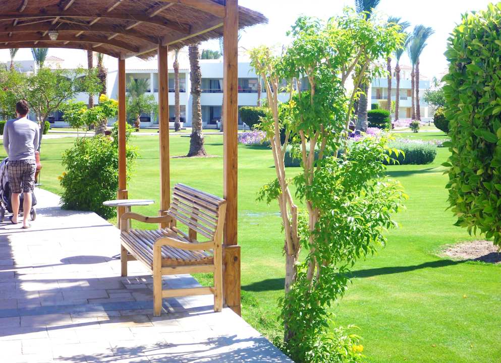 Alles superschön gepflegt Pickalbatros Dana Beach Resort - Hurghada
