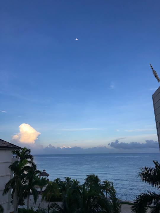 Zimmer Secrets St. James Montego Bay - Adults only