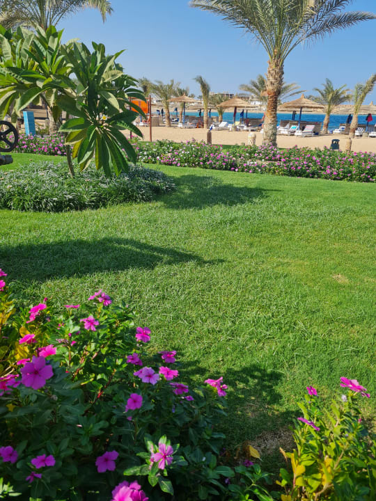 Gartenanlage Coral Sun Beach