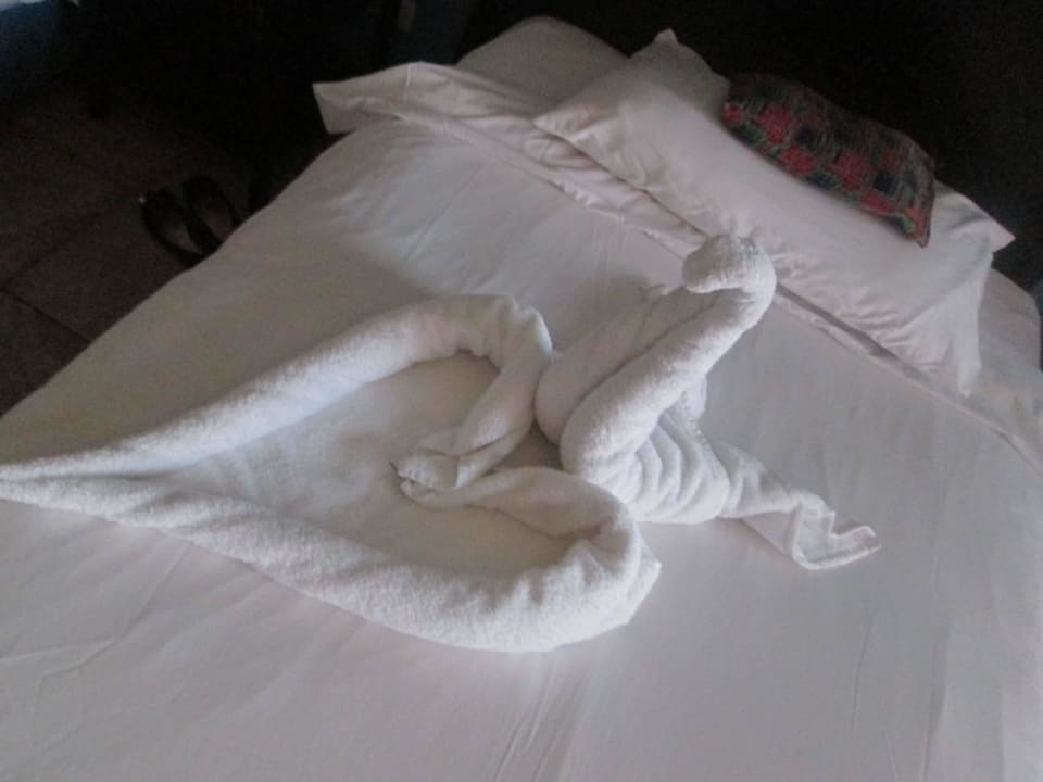 Parrotel Aqua Park Resort Parrotel Aqua Park Resort