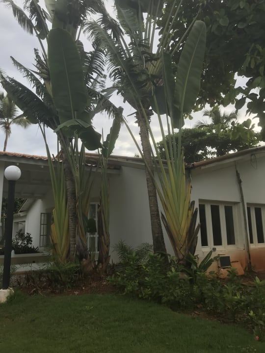 Außenansicht Wyndham Alltra Samana