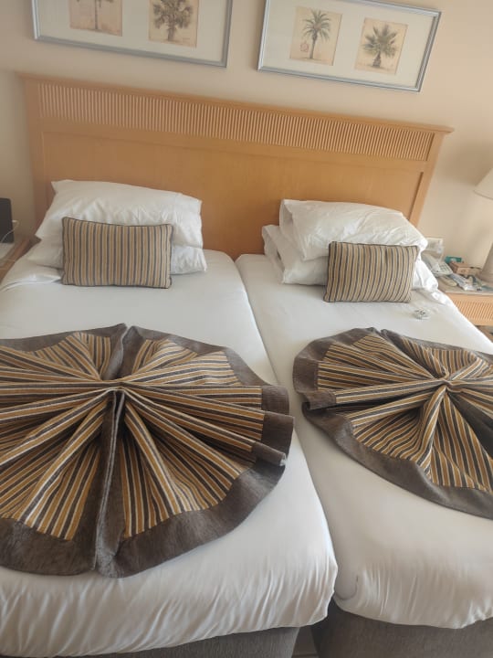 Zimmer Hotel JAZ Makadi Star & Spa