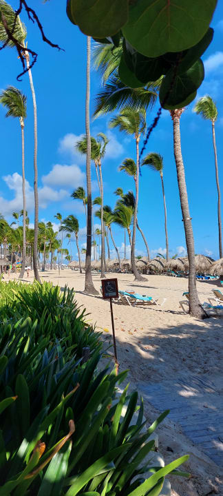 Strand Iberostar Selection Coral Bávaro