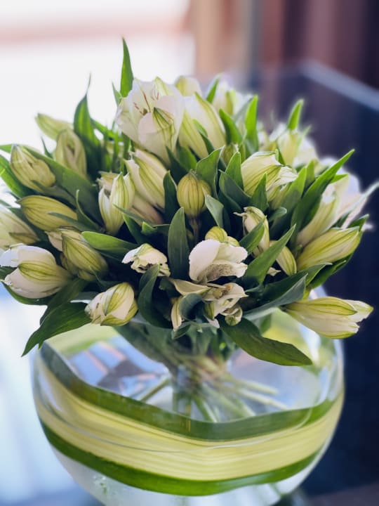 Sonstiges Park Hyatt Abu Dhabi Hotel and Villas