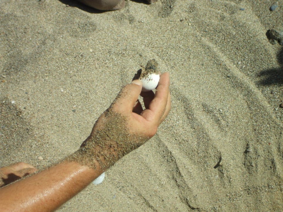 Caretta TUI KIDS CLUB Felicia Village