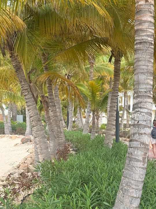 Gartenanlage Althoff Grandhotel Schloss Bensberg