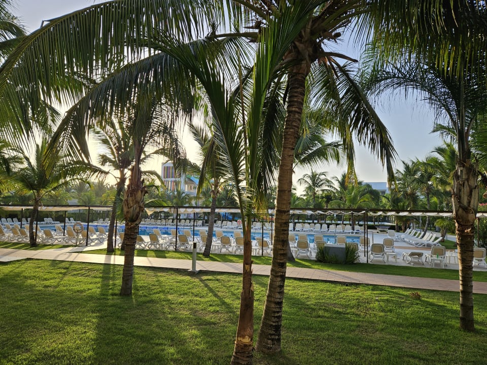 Pool Hotel Riu Republica - Adults only