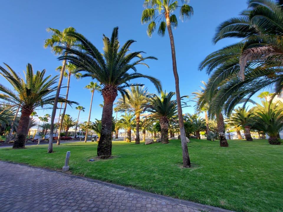 Gartenanlage Hotel Riu Gran Canaria