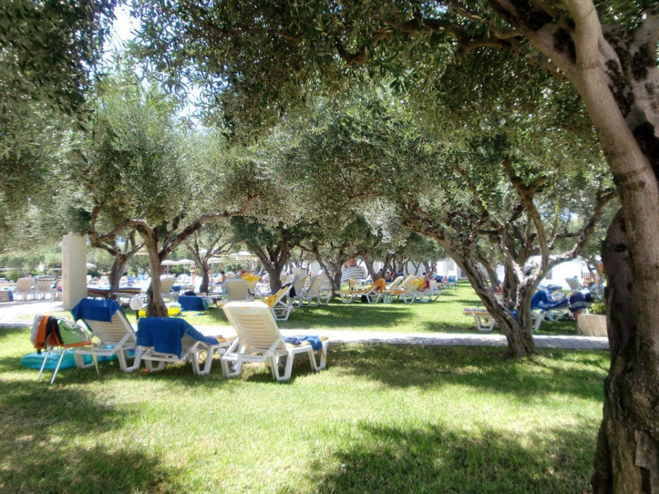 Liegenwiese am Pool TUI KIDS CLUB Alex Beach