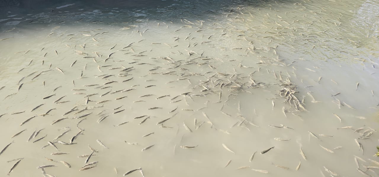 Gartenanlage Ephesia Holiday Beach Club